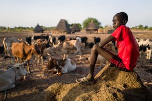 Un jeune garçon surveille un troupeau de vaches au Soudan du Sud
