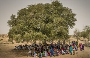 Situation humanitaire au Tchad : Un village se réunit sous un arbre au Tchad où Première Urgence Internationale intervient