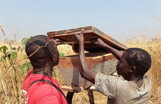©Moïse Kotto-Feindiro | Follow-up visit to a beekeeper near Ndélé (Central African Republic), in January 2021