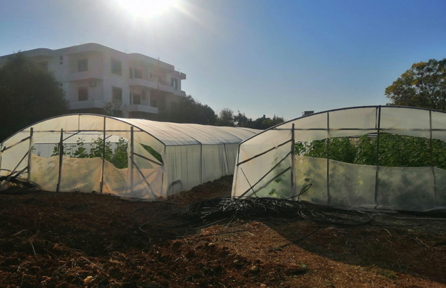 two greenhouses after rehabilitation with our program supporting the resilience of vulnerable agricultural producers and households in northern Lebanon