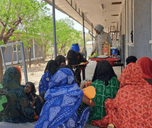 Séance de démonstration culinaire du groupe de soutien Mother to Mother à l'hôpital d'Abala, 2025 © Première Urgence Internationale