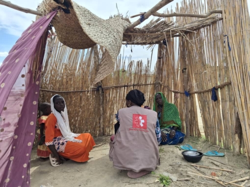 Aide humanitaire à l'Extrême Nord au Cameroun