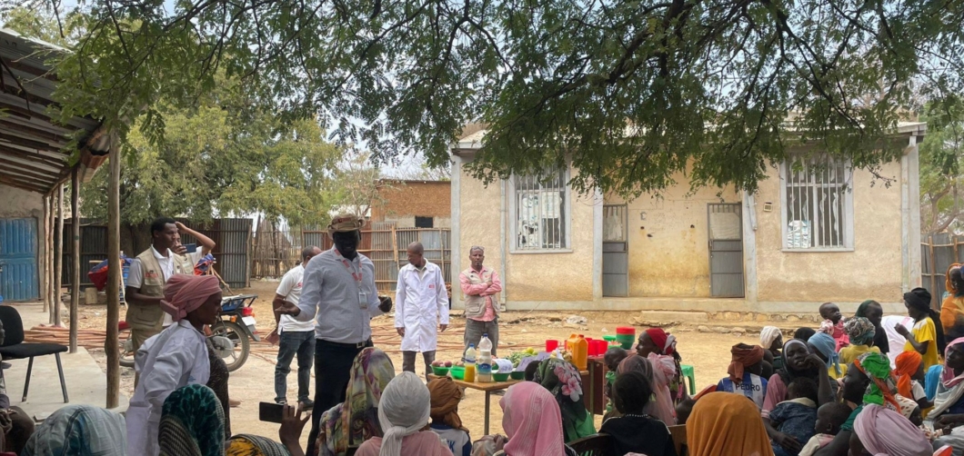 27 Mother-to-Mother Support Groups (M2MSGs) were established across the Horazhab cluster 2025-2026
